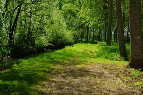 Un déménagement pour un nouveau départ